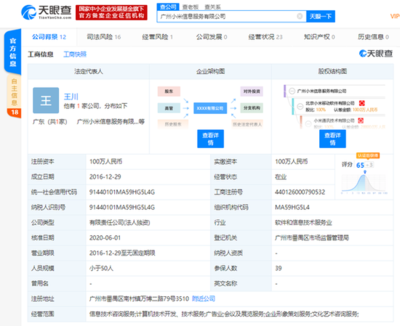 洪鋒卸任廣州小米信息服務(wù)法人等職位，信息技術(shù)咨詢服務(wù)業(yè)務(wù)調(diào)整引關(guān)注